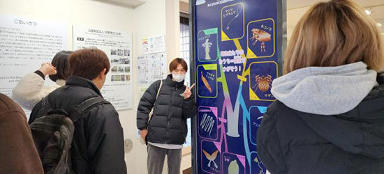 ミュージアム 体験型展示