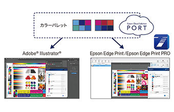 クラウドに保存した色をADOBE® ILLUSTRATOR®で活用