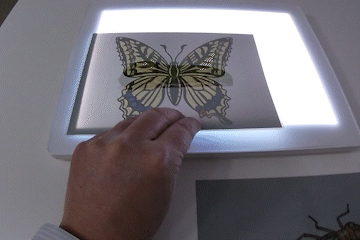 リライトプリントの演出方法