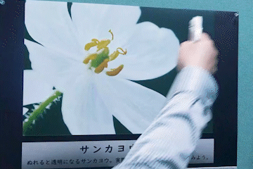 ハイドロプリント