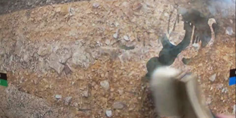 化石発掘 イベント