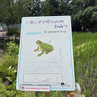体験型展示